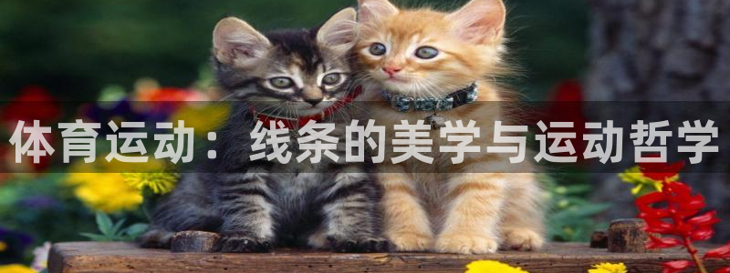 3377体育官网下载注册：体育运动：线条的美学与运动