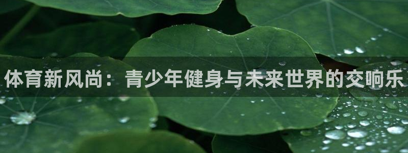3377体育官方正版app新能源：体育新风尚：青少年