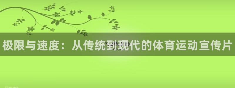 3377体育官方正版app神州：极限与速度：从传统到现代的体