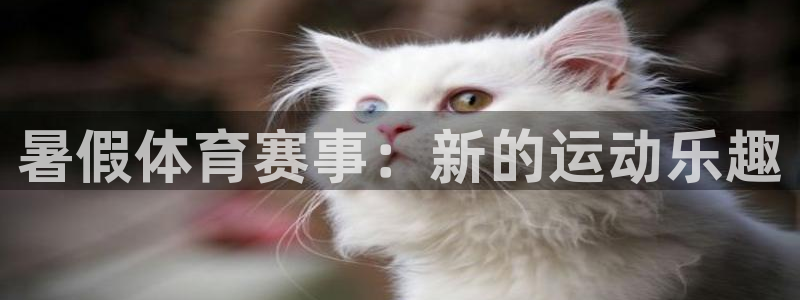 3377体育官网下载招商电话号码查询：暑假体育赛事：