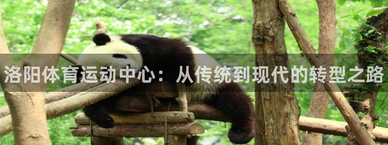 3377体育官方正版app娱乐是那个系列的台子：洛阳