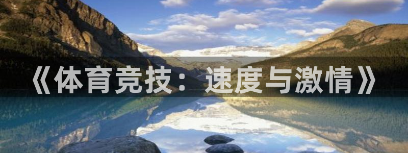 3377体育官方正版app集团logo：《体育竞技：速度与激