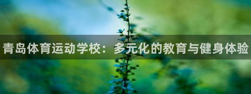 3377体育官方正版app娱乐代理怎么样：青岛体育运动学校：