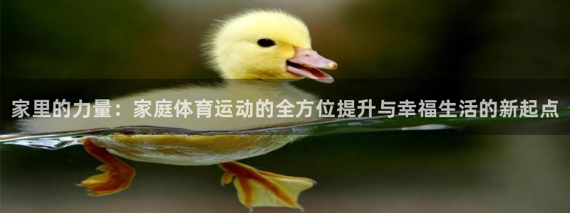 3377体育官网下载招商电话：家里的力量：家庭体育运动的全方