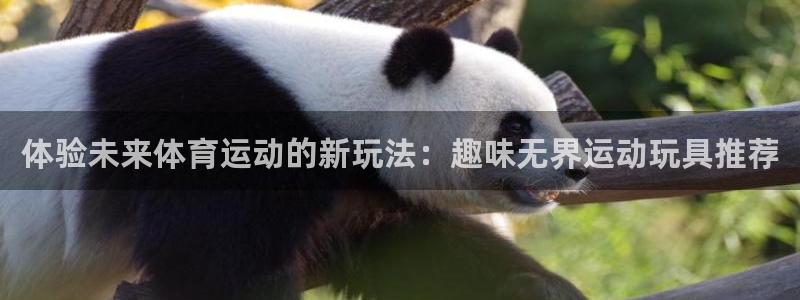 3377体育官方正版app娱乐平台：体验未来体育运动的新玩法