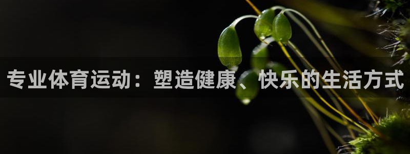 3377体育app官网下载地址