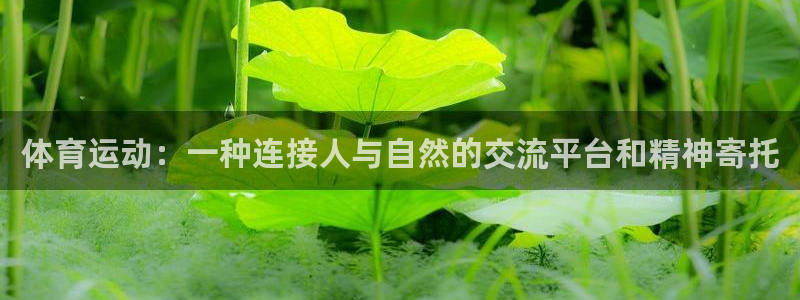 3377体育不出款