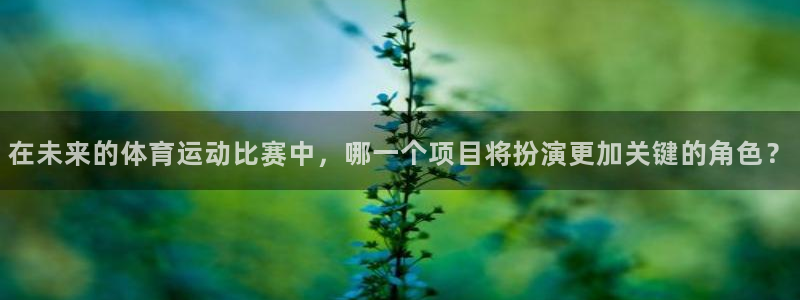 3377体育游戏：在未来的体育运动比