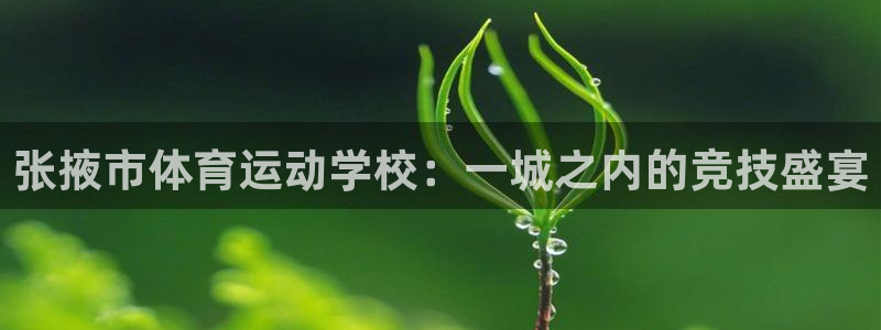 3377体育电子：张掖市体育运动学校