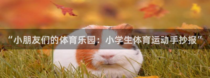  3377体育能爆吗：“小朋友们的体育乐园：小学生体育运动手抄