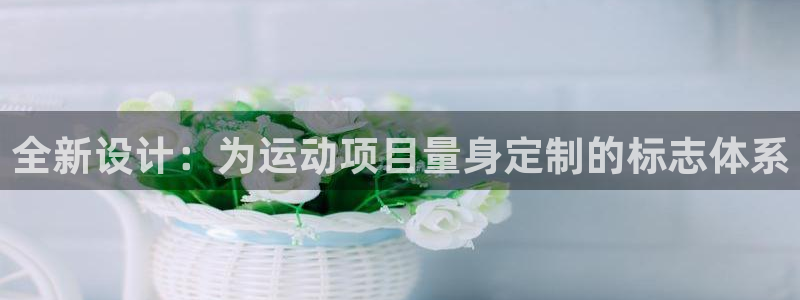  3377体育有风险吗：全新设计：为运动项目量身定制的标志体系