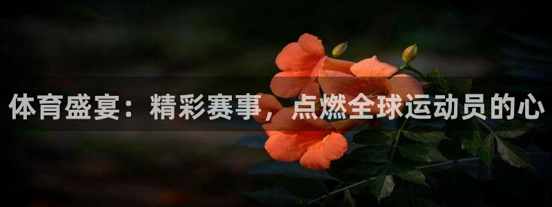 3377体育游戏：体育盛宴：精彩赛事