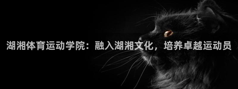  3377体育唯一官方网站：湖湘体育运动学院：融入湖湘文化，培