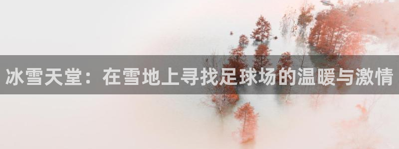3377体育合法吗：冰雪天堂：在雪地上寻找足球场的温暖与激情