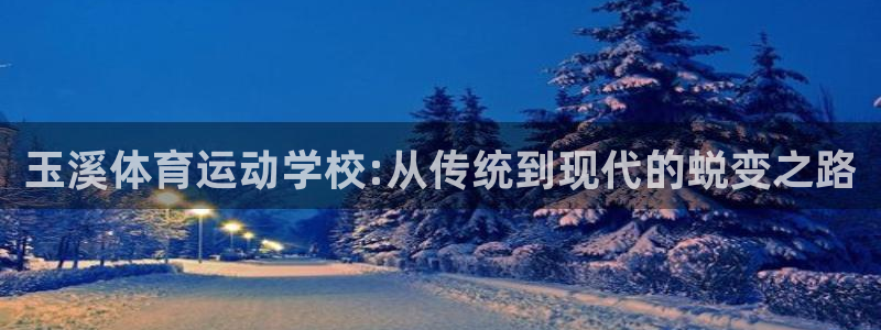  3377体育是什么：玉溪体育运动学校:从传统到现代的蜕变之路