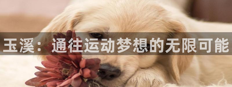 3377体育在哪个国家运营：玉溪：通往运动梦想的无限可能