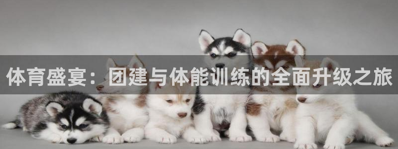 3377体育出款正常不：体育盛宴：团建与体能训练的全面升级之
