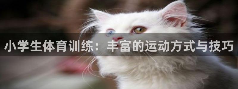 3377体育唯一官方网站：小学生体育