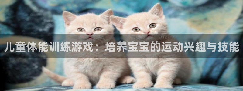 3377体育有风险吗：儿童体能训练游戏：培养宝宝的运动兴趣与