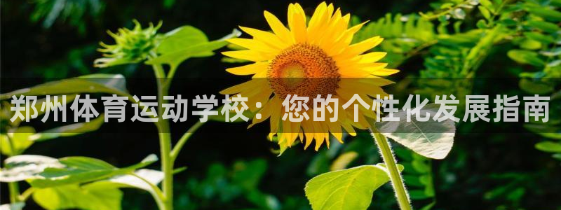 3377体育骗了多少人：郑州体育运动学校：您的个性化发展指南