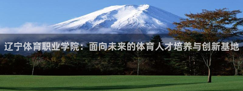 3377体育黑款吗：辽宁体育职业学院：面向未来的体育人才培养