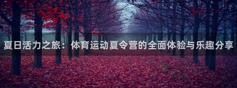 3377体育官网下载：夏日活力之旅：体育运动夏令营的