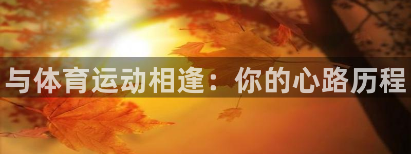 3377体育官方正版app集团官网首页网址