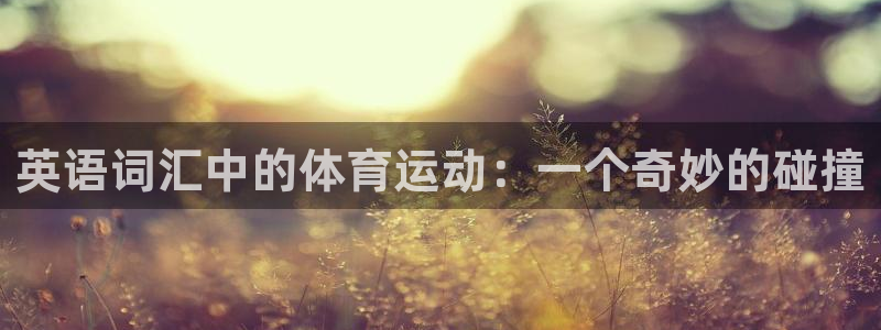 3377体育官网下载招商电话号码是多少啊：英语词汇中