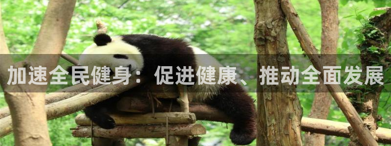 3377体育官方正版app娱乐平台：加速全民健身：促