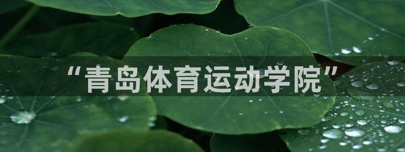 3377体育官方正版app官网