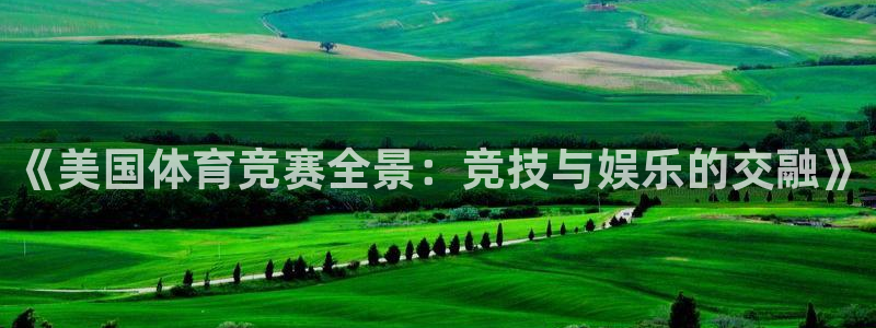 3377体育官方正版app娱乐40996：《美国体育竞赛全景