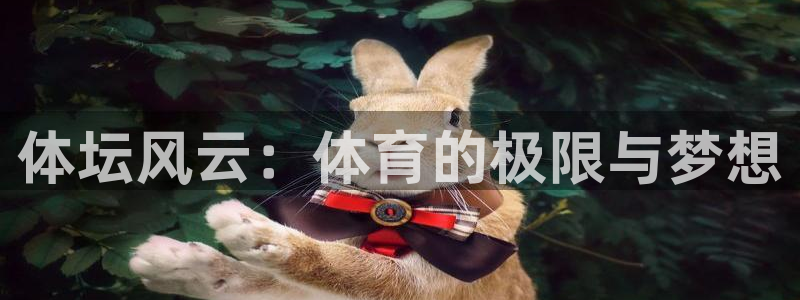 3377体育官方正版app集团官网首页网址：体坛风云：体育的